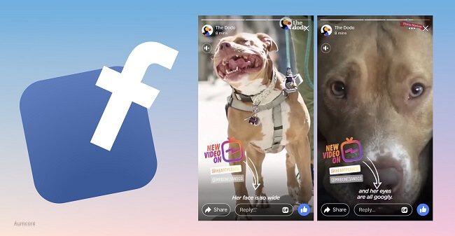 Facebook Stories for business